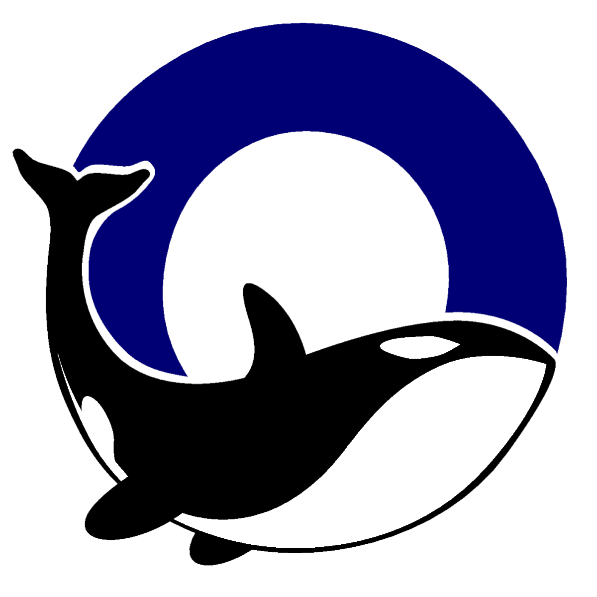 Orca Running