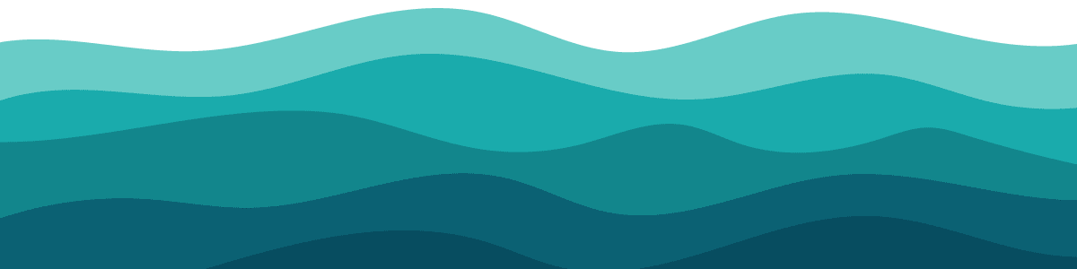 2020-Orca-BTM-Banner (1)