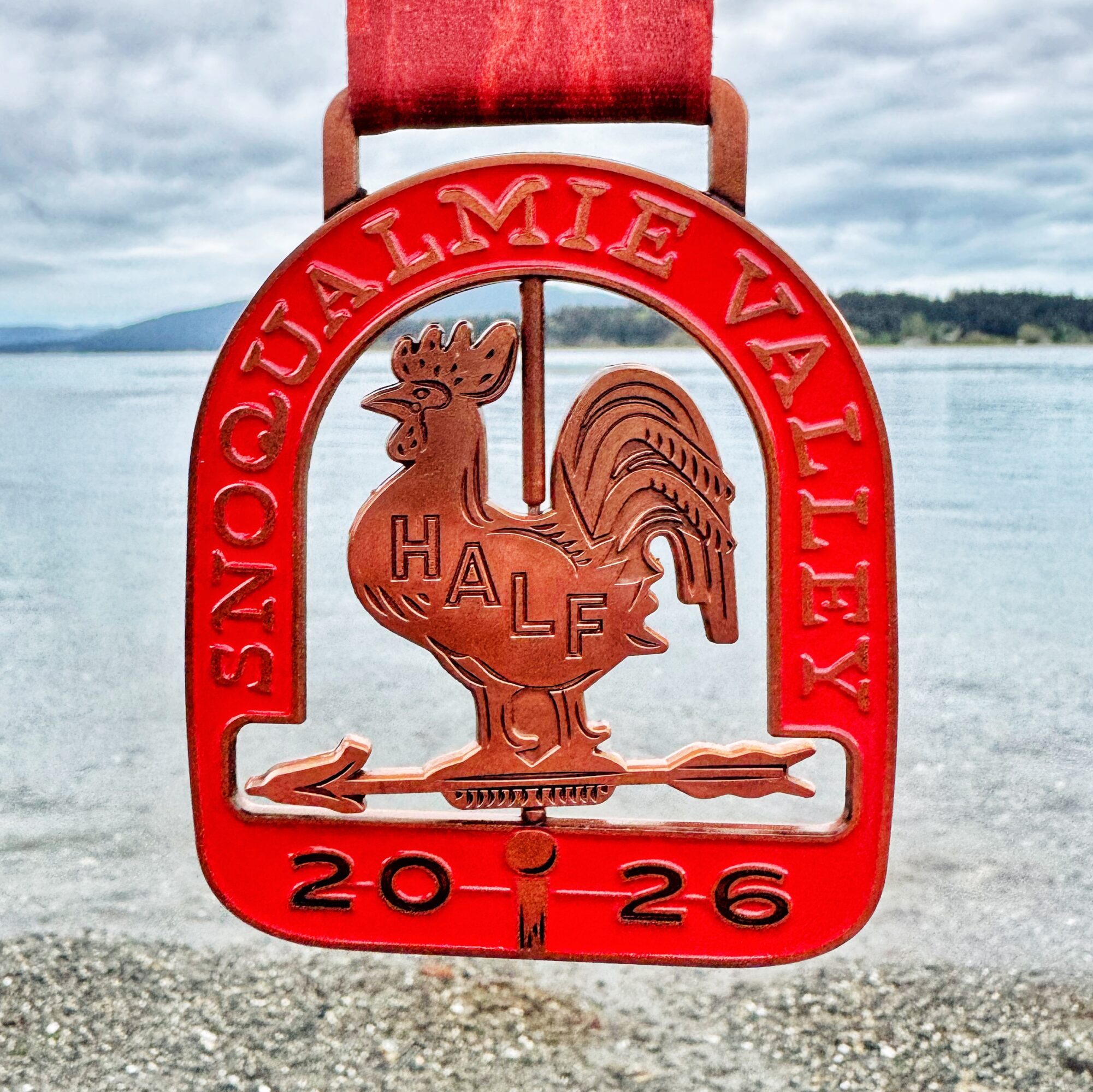 SVH medal '26