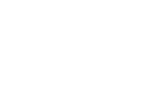 Orca Running